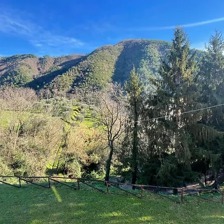 Villa Casa Di Bruno, Lucca, Toscane Villa Basilica